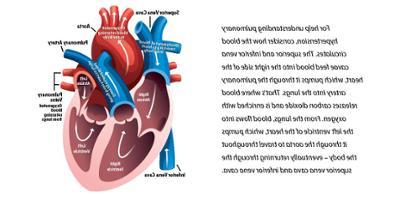 What is pulmonary hypertension?